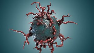 Bio Growth 3D model