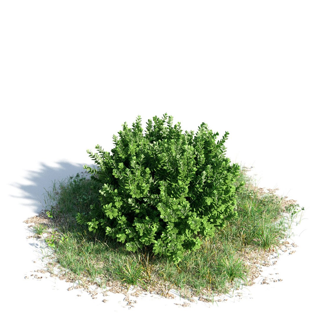 3d model of archmodels vol 154 plants trees