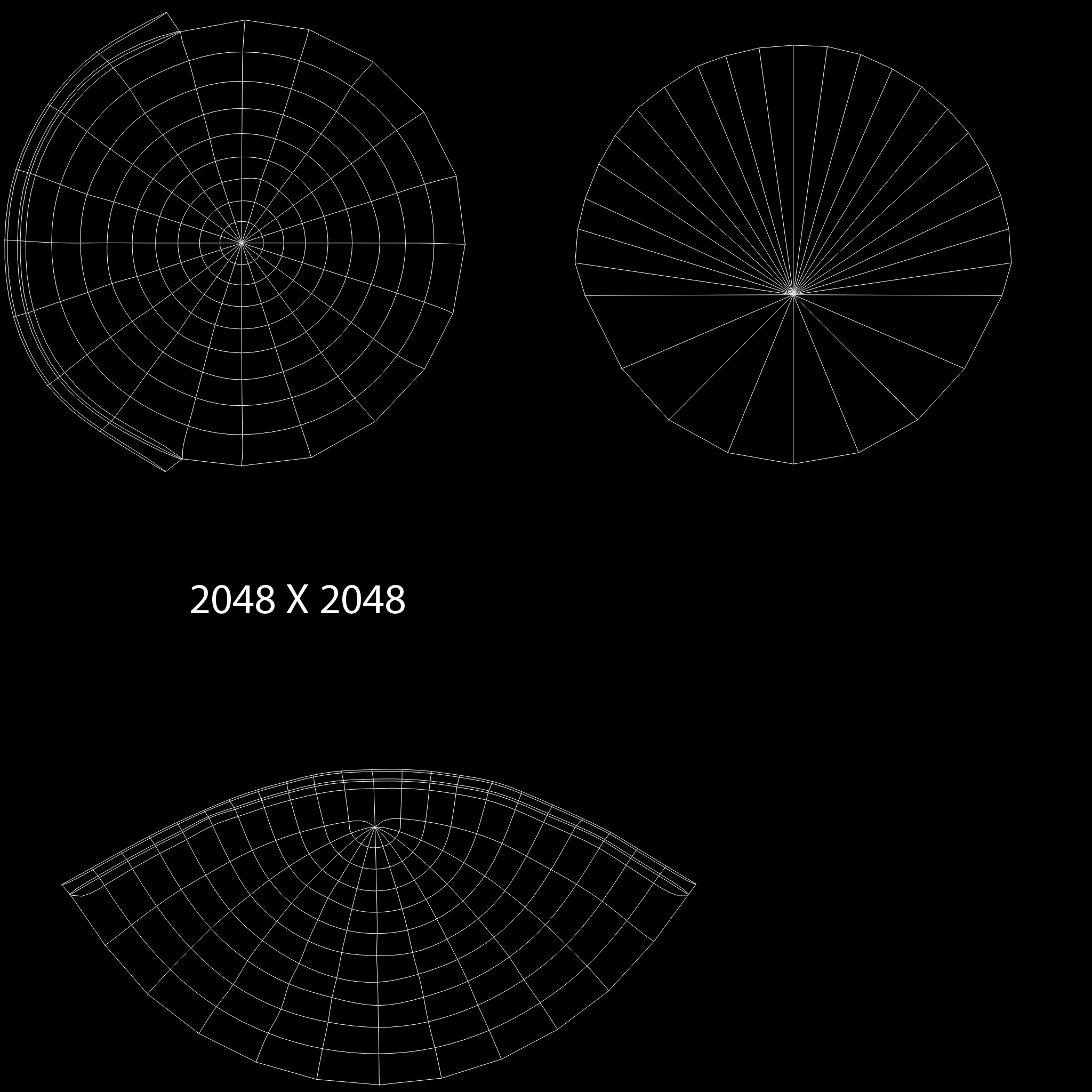 3d nucleolus nucleus