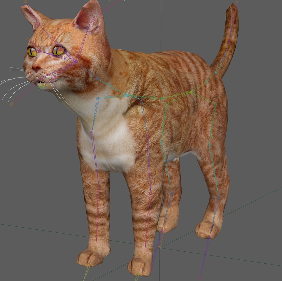 3D model Orange Cat Tabby https://p.turbosquid.com/ts-thumb/6I/gApY7t/cV/z0/png/1700403864/1920x1080/fit_q87/8051b8a34c94f505787052b2134ff5d20a1b5e3b/z0.jpg