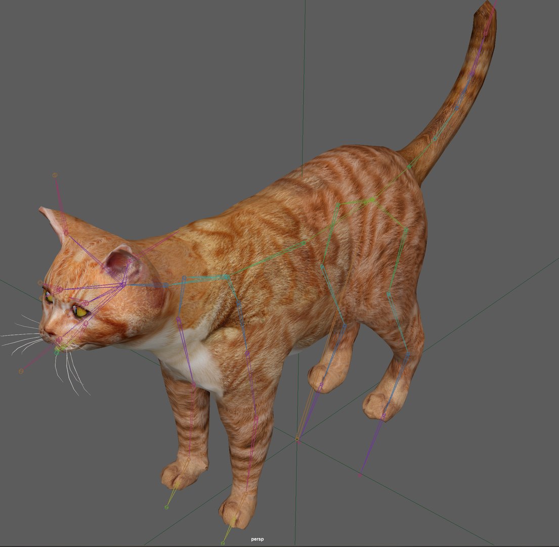 3D model Orange Cat Tabby https://p.turbosquid.com/ts-thumb/6I/gApY7t/eu/10/png/1700403893/1920x1080/fit_q87/b550dabe8bb6d109fe5878fd00100b8114c682ae/10.jpg