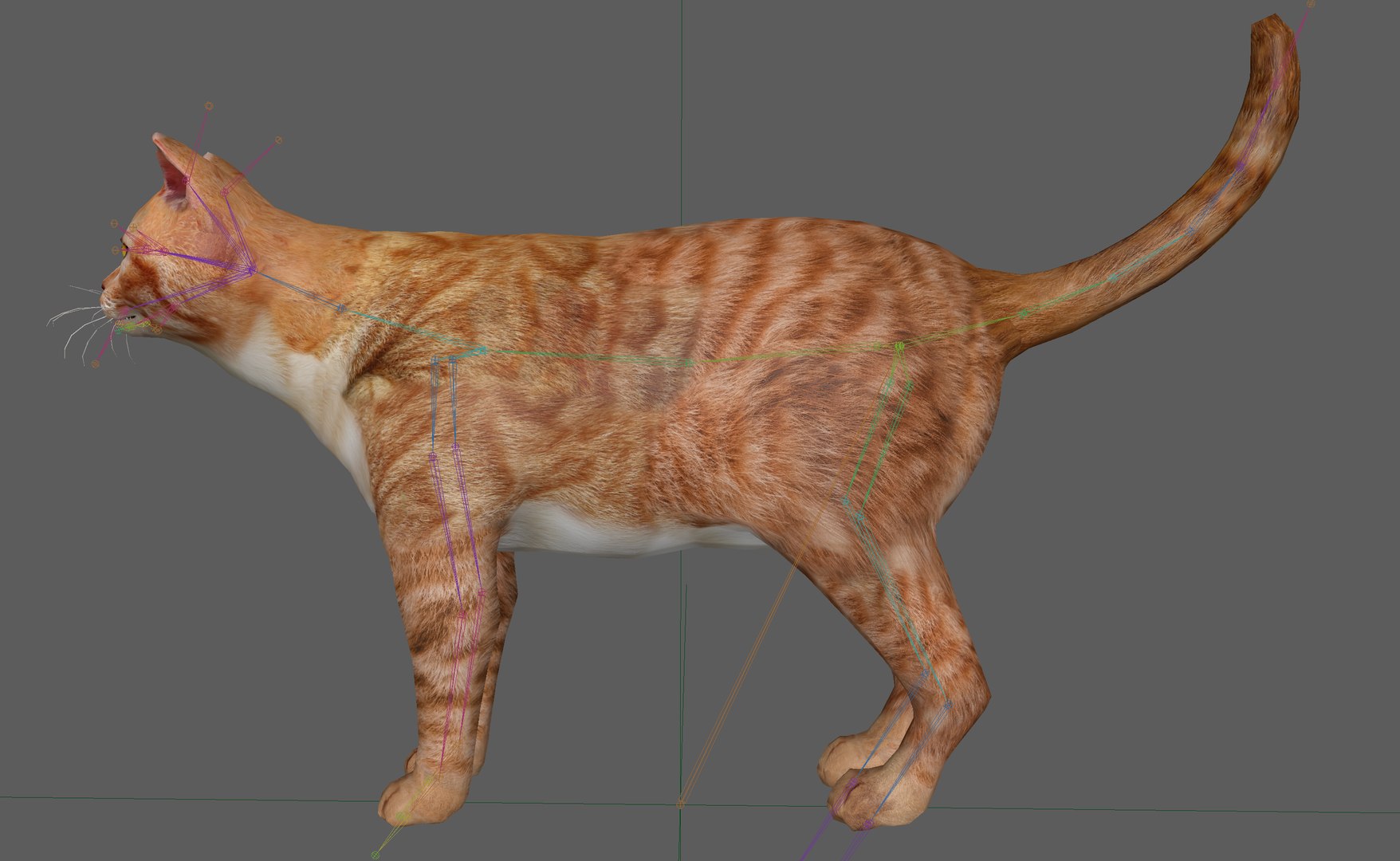 3D model Orange Cat Tabby https://p.turbosquid.com/ts-thumb/6I/gApY7t/w5/7/png/1700403888/1920x1080/fit_q87/3ec39ea1e896b76ab4a937a1094bc28880251121/7.jpg