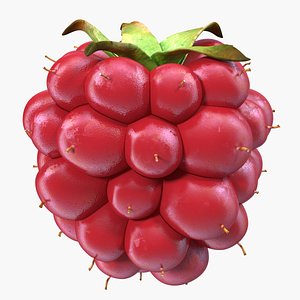 ripe berry blackberry 3D model