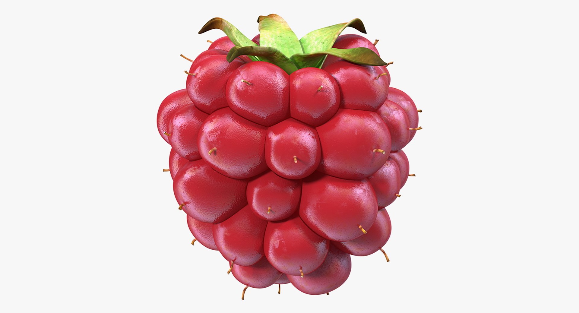 Not Ripe Berry Blackberry 3D Model 3D model preview