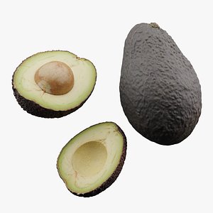 3D Avocado Fruit