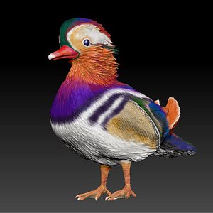mandarin duck l080 3D model