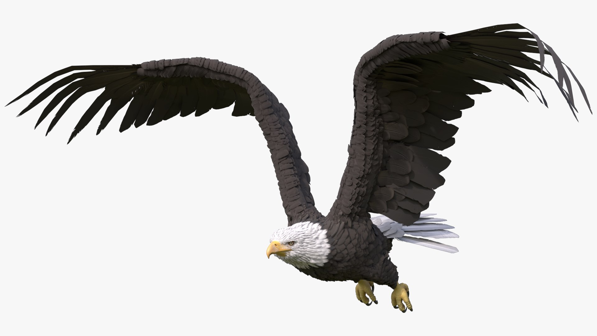 Eagle Rigged For Blender Animated Set