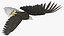3D Eagle Rigged For Blender Animated Set model