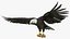 3D Eagle Rigged For Blender Animated Set model