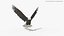 3D Eagle Rigged For Blender Animated Set model