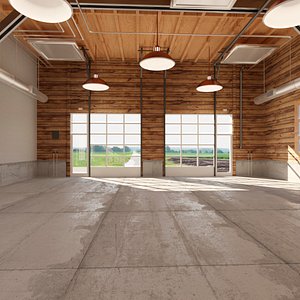 Car Garage to Loft Style