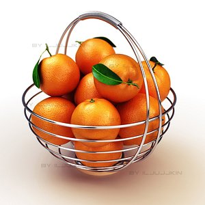 3d model basket oranges