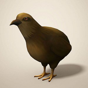 cartoon quail 3D model