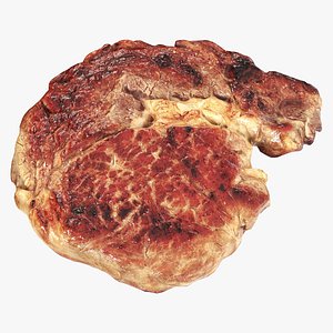 Roasted meat steak 03