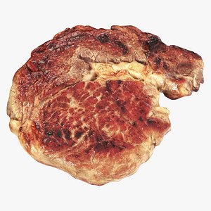 Roasted meat steak 03
