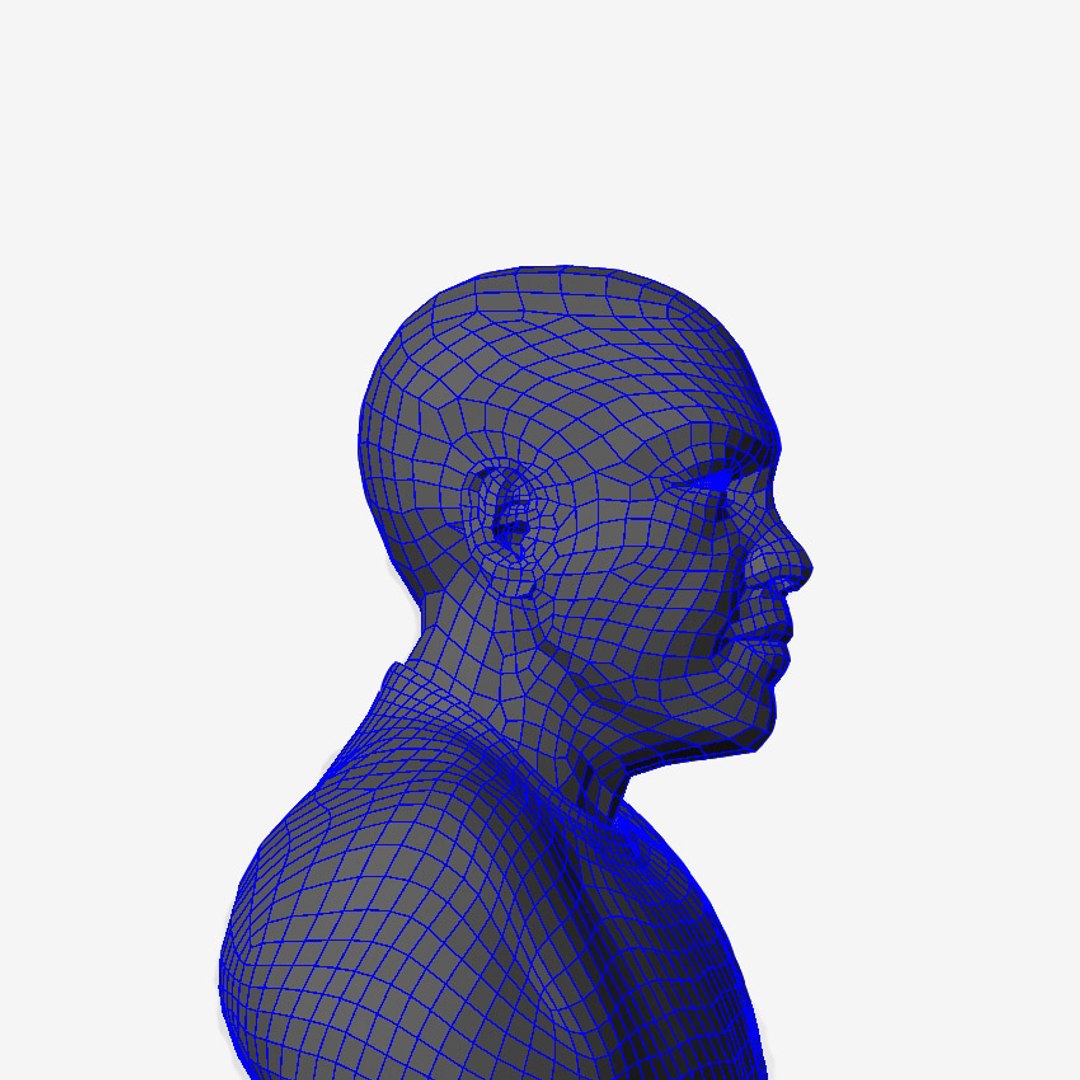 maya zbrush realistic hair systems https://p.turbosquid.com/ts-thumb/6J/Y0H1RV/4iDpYypq/wire02/jpg/1351880057/1920x1080/fit_q87/a5f1f592ca325a30bd7f525caa0224f67e323e5b/wire02.jpg