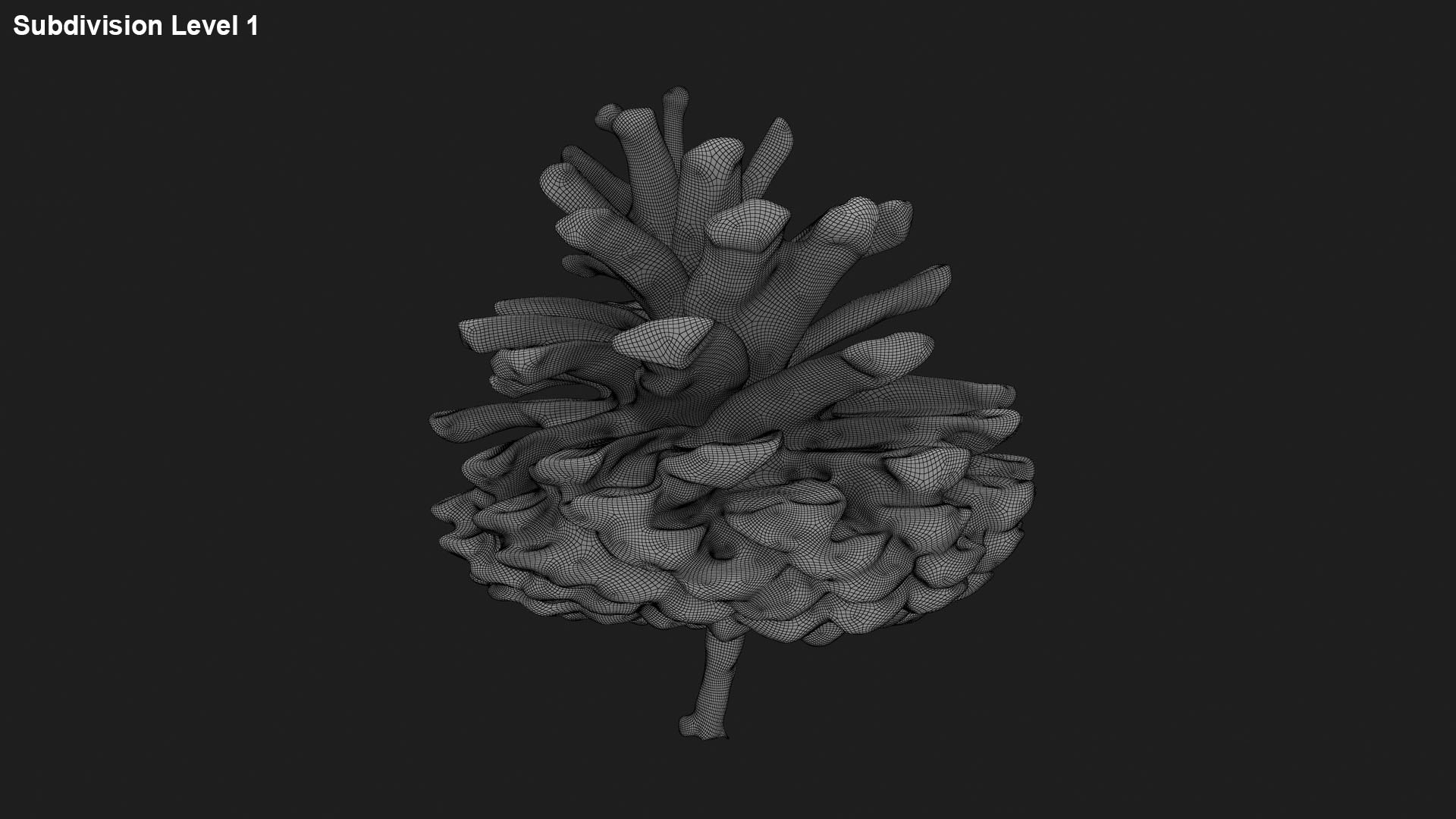 3D Dried Pine Cone 04 https://p.turbosquid.com/ts-thumb/6J/uqRXpZ/G9/driedpinecone04_g0002/jpg/1730362855/1920x1080/fit_q87/360db5ce600e42e325900d398452c5249401e2f8/driedpinecone04_g0002.jpg