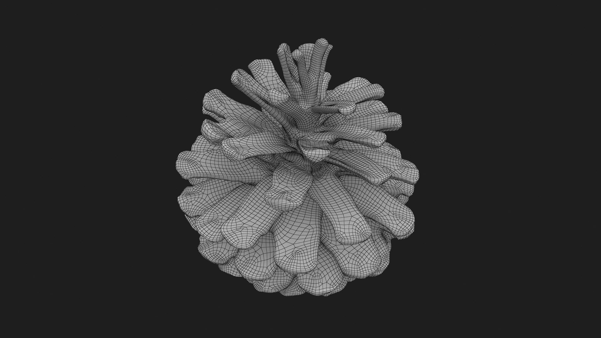 3D Dried Pine Cone 04 https://p.turbosquid.com/ts-thumb/6J/uqRXpZ/MO/driedpinecone04_g0003/jpg/1730362855/1920x1080/fit_q87/7579f741cb6e3bde08e57b47ea51b504b5c930e7/driedpinecone04_g0003.jpg