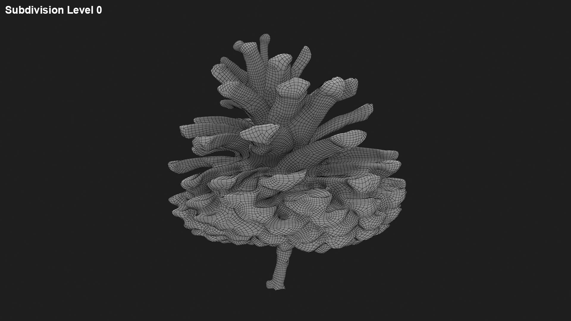 3D Dried Pine Cone 04 https://p.turbosquid.com/ts-thumb/6J/uqRXpZ/Q9/driedpinecone04_g0001/jpg/1730362853/1920x1080/fit_q87/34f608180a6711096774381fbe7b365cf46aecc1/driedpinecone04_g0001.jpg