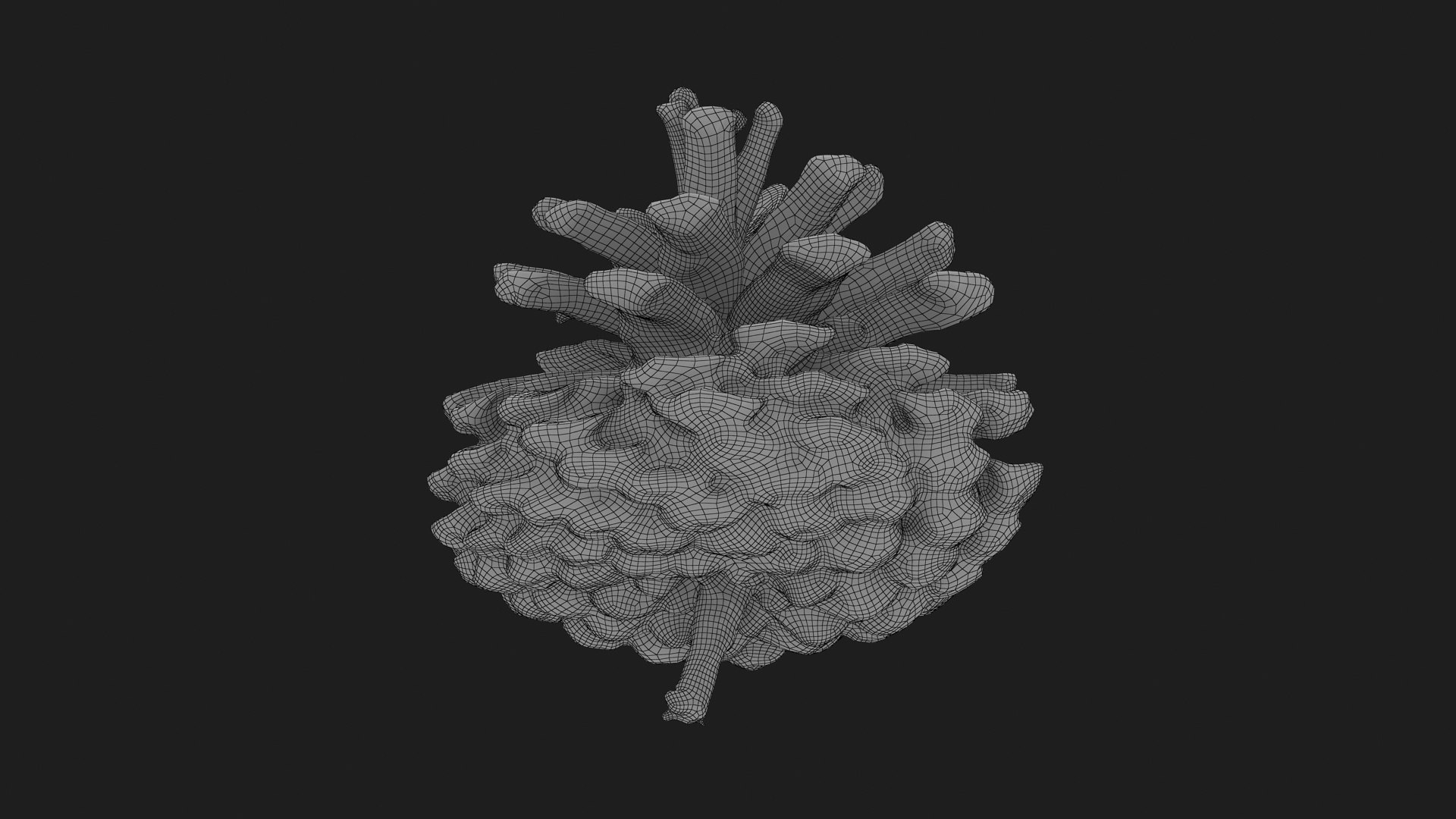 3D Dried Pine Cone 04 https://p.turbosquid.com/ts-thumb/6J/uqRXpZ/xe/driedpinecone04_g0004/jpg/1730362857/1920x1080/fit_q87/9a544e7dadbf78b61599f982d8308e4d800d9037/driedpinecone04_g0004.jpg