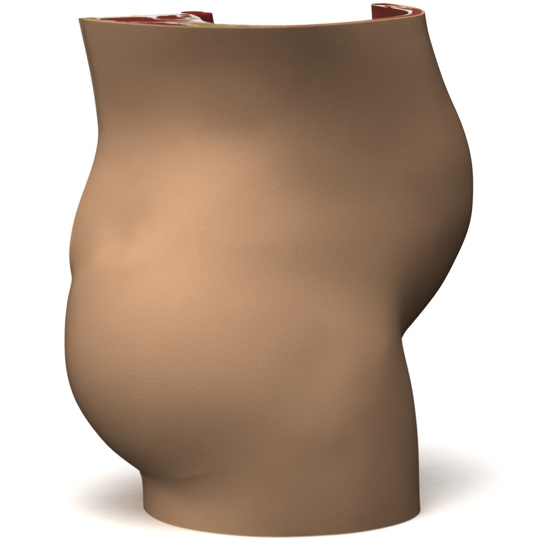 fetus anatomy 3d model https://p.turbosquid.com/ts-thumb/6J/vzAI0r/Axyos0jH/fetus_anatomy_05/jpg/1301745461/1920x1080/fit_q87/1d6fe658f866b797e520fa0e085af0a4660bf0ff/fetus_anatomy_05.jpg
