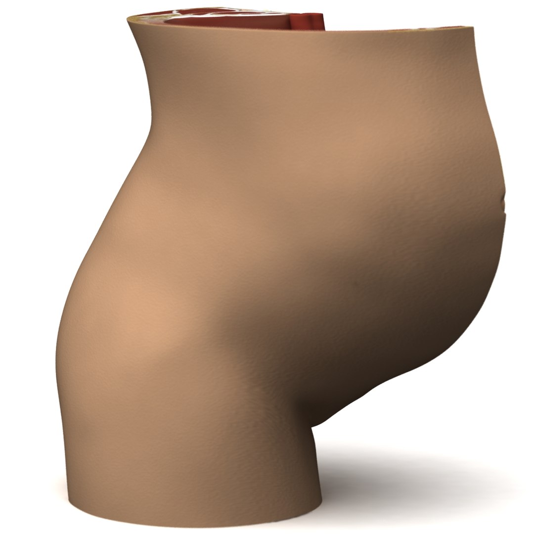 fetus anatomy 3d model https://p.turbosquid.com/ts-thumb/6J/vzAI0r/Wtl2fb2R/fetus_anatomy_04/jpg/1301745461/1920x1080/fit_q87/79e056564a25f792143d005320f4f88b4ff95024/fetus_anatomy_04.jpg