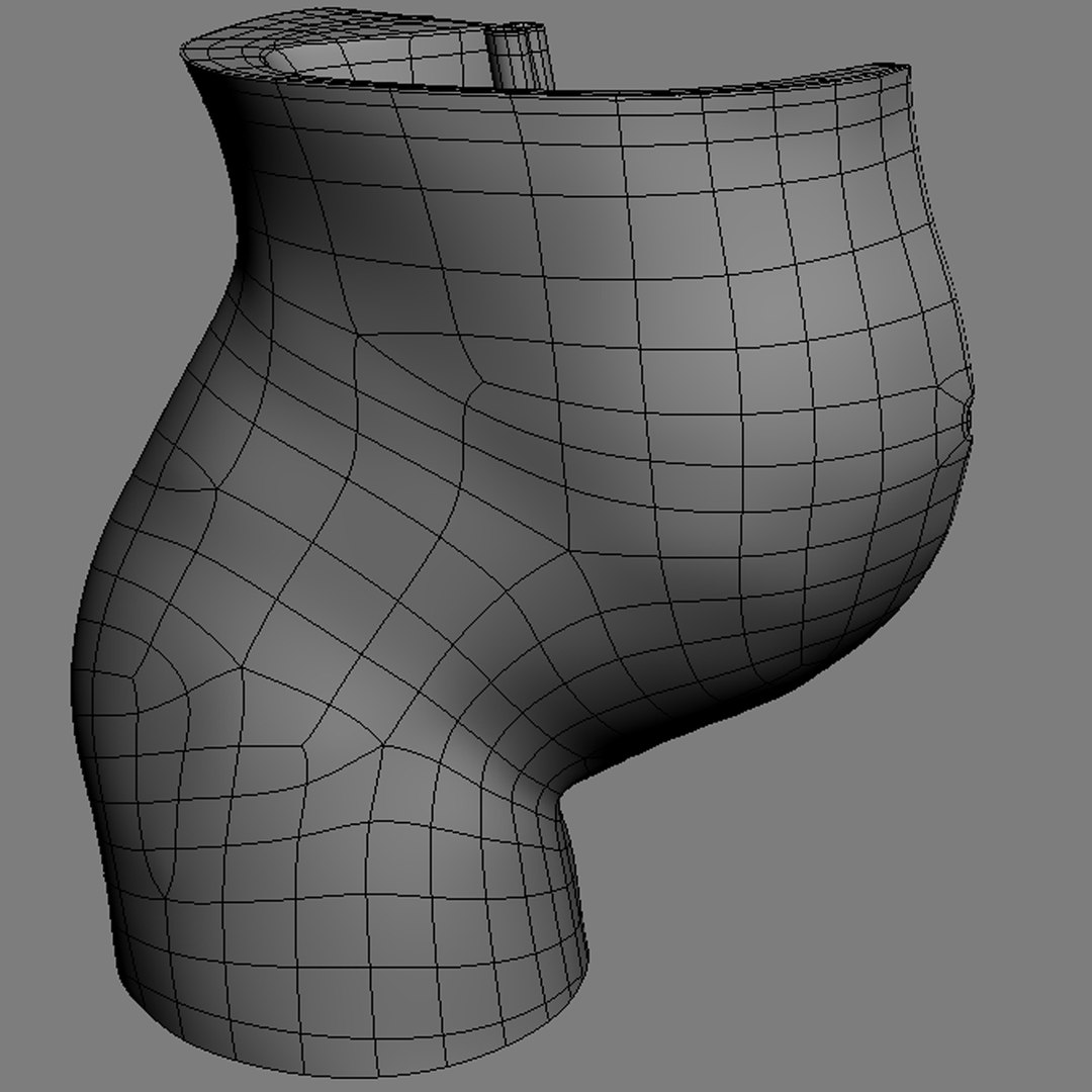fetus anatomy 3d model https://p.turbosquid.com/ts-thumb/6J/vzAI0r/ZeIEanmx/fetus_anatomy_11/jpg/1301745461/1920x1080/fit_q87/66a7147599eae72dbccfbc4c8a535fd6617712a1/fetus_anatomy_11.jpg