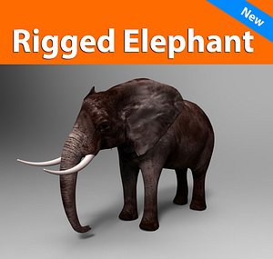 obj elephant rigged