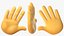 Raised Back Hand Emoji