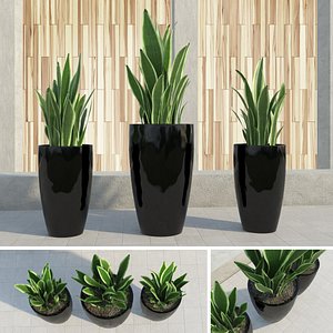 outdoor plants gardening 3d max
