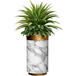 Decorative tropical Agave plant in a modern tall marble 3D model