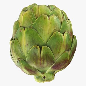 3D Artichoke Raw Scan