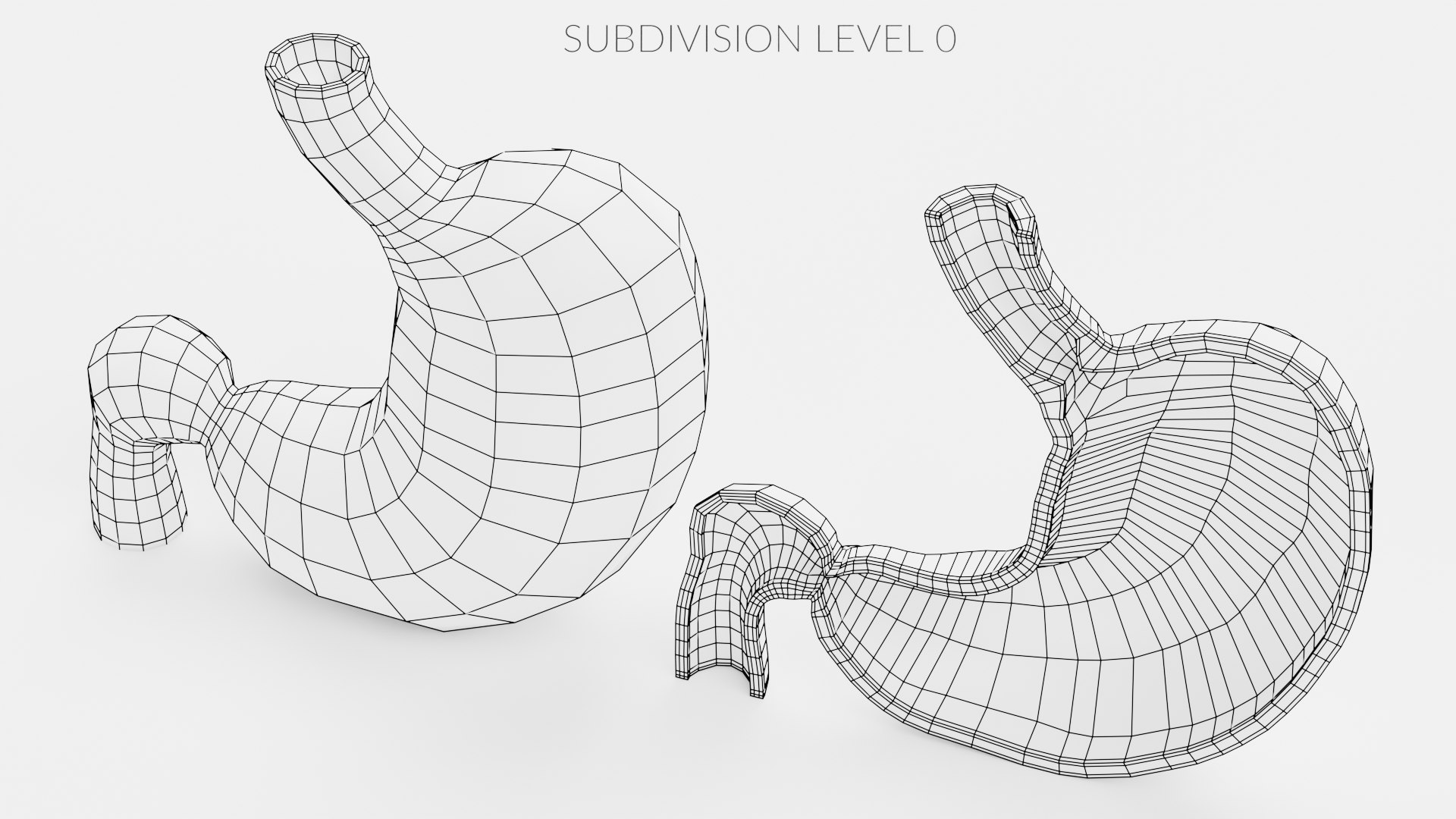 3D Stomach And Stomach Section - TurboSquid 1752672