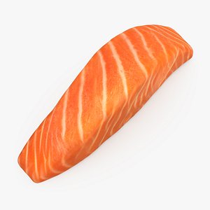 Raw Salmon Fillet 01