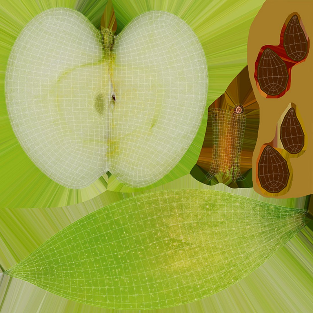 Green Apple Collection 3D model https://p.turbosquid.com/ts-thumb/6K/aF7pgq/pz/greenapplev1slice_d0004/jpg/1686596941/1920x1080/fit_q87/00eafbbe47d0e0d03f651b5e75b7a95e5eed2c24/greenapplev1slice_d0004.jpg