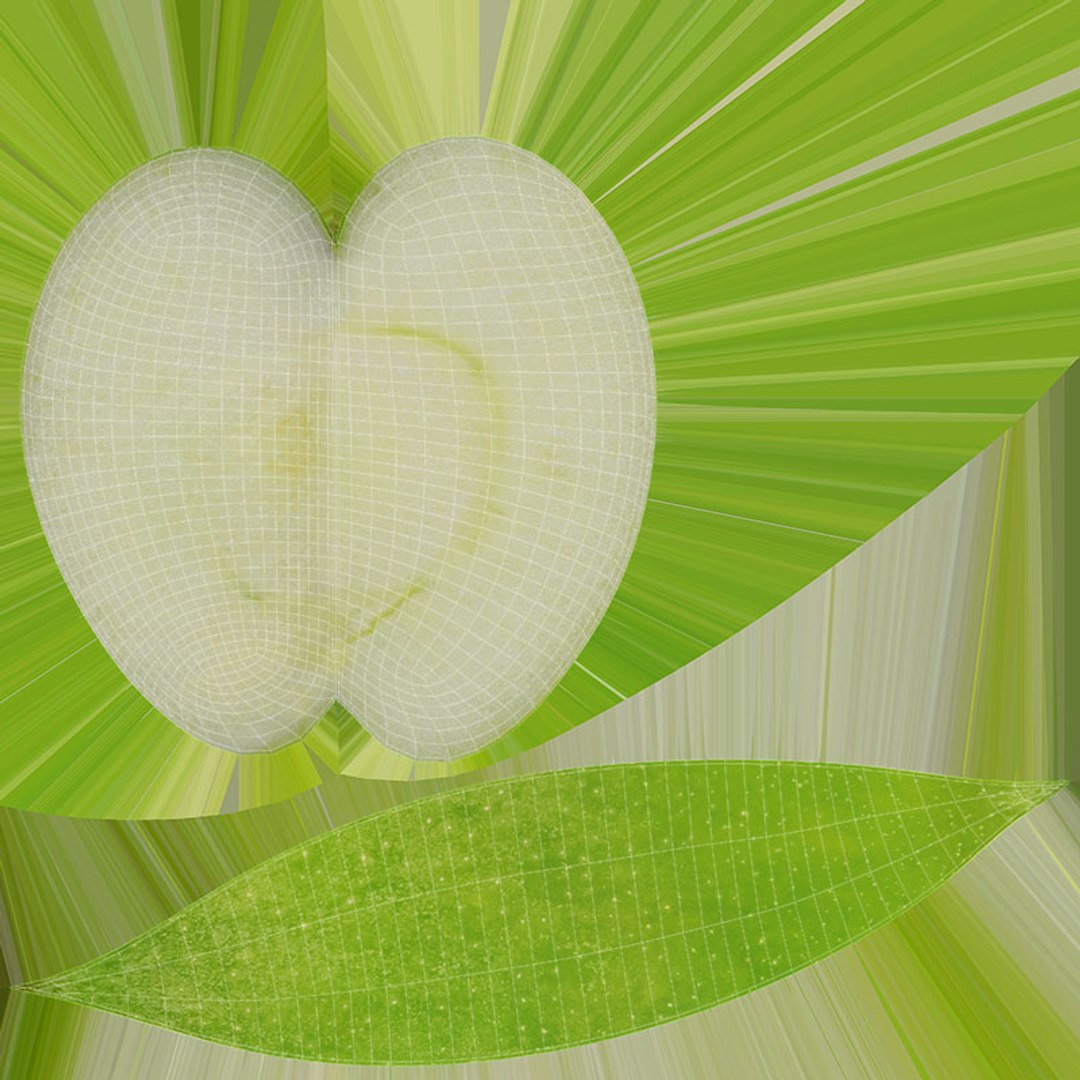 Green Apple Collection 3D model https://p.turbosquid.com/ts-thumb/6K/aF7pgq/z8/greenapplev1slice02_d0004/jpg/1686596947/1920x1080/fit_q87/aba3a99321f35dadd9f40fc504bfa825ea0bc2c5/greenapplev1slice02_d0004.jpg