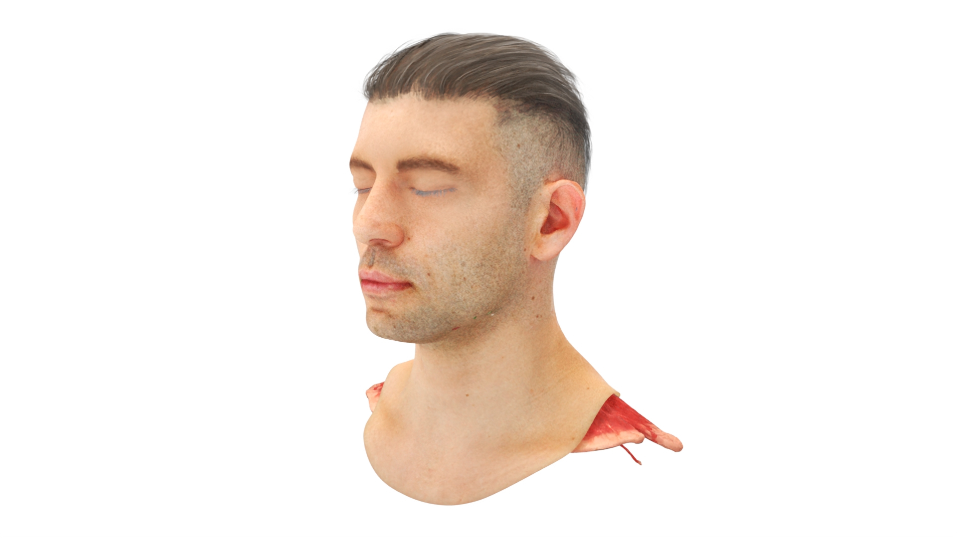 3D Model Male Head Realistic Anatomy TurboSquid 2169018