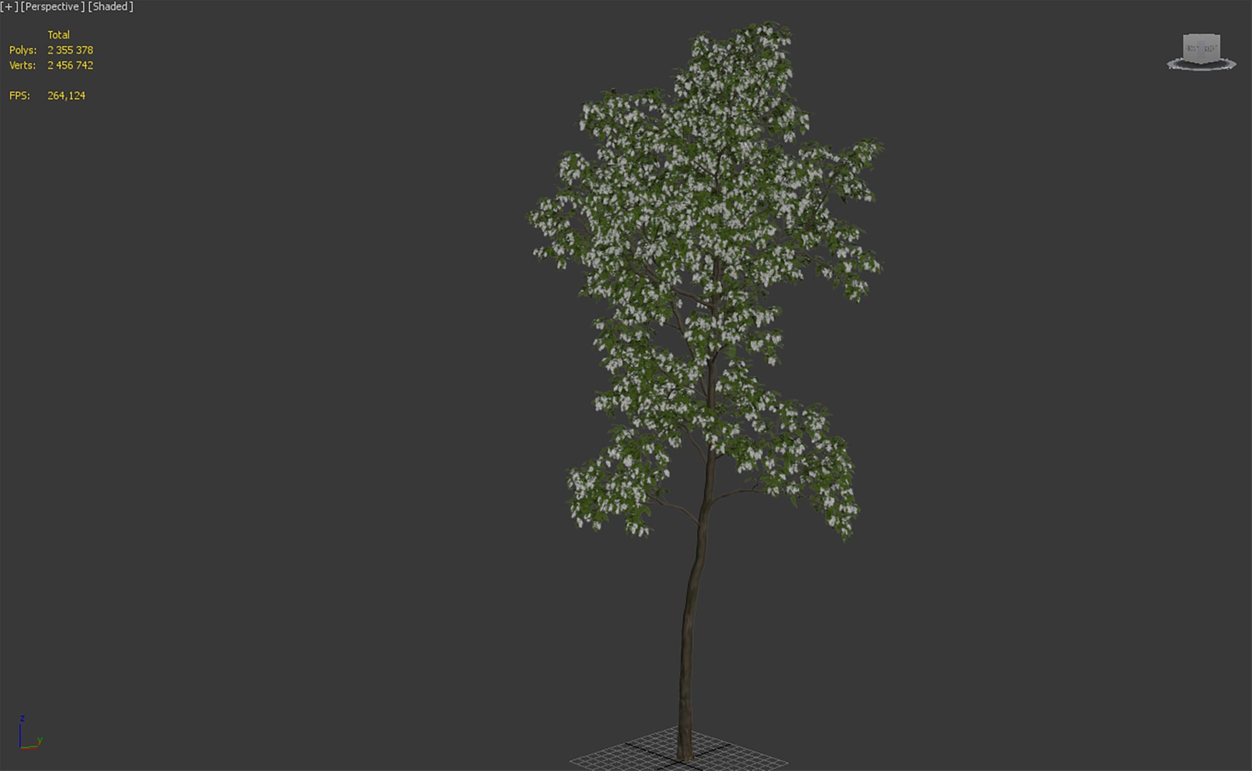 3D model acacia tree https://p.turbosquid.com/ts-thumb/6K/qdsJ2Z/fc/1t/jpg/1614422900/1920x1080/fit_q87/124962e090ddcd7d8da117c12da52600a6db3d26/1t.jpg