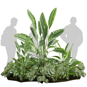 3D Collection plant vol 620 Corona 7 max 2011 model