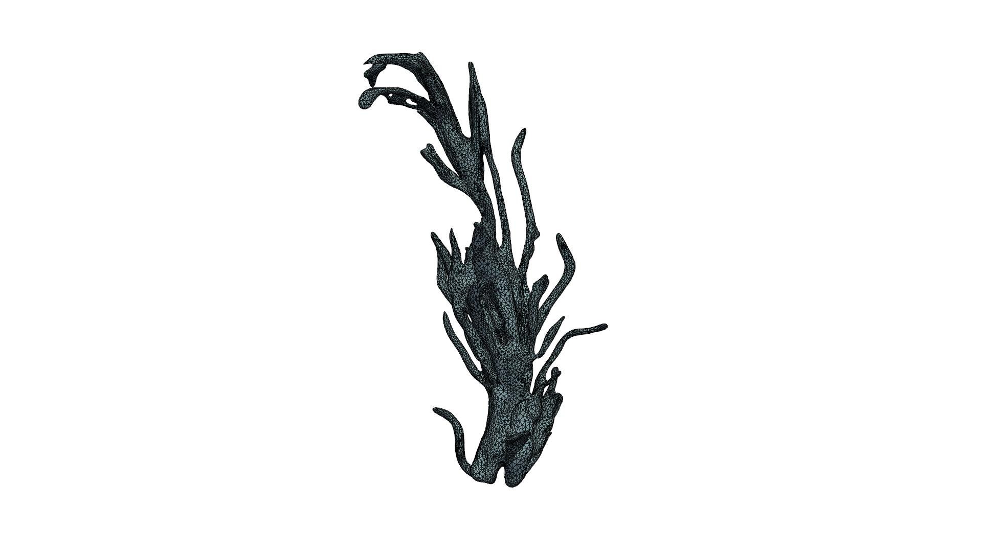 3D Seaweed Model - TurboSquid 2221422