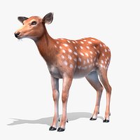 Deer - Doe