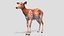 3D Deer - Doe