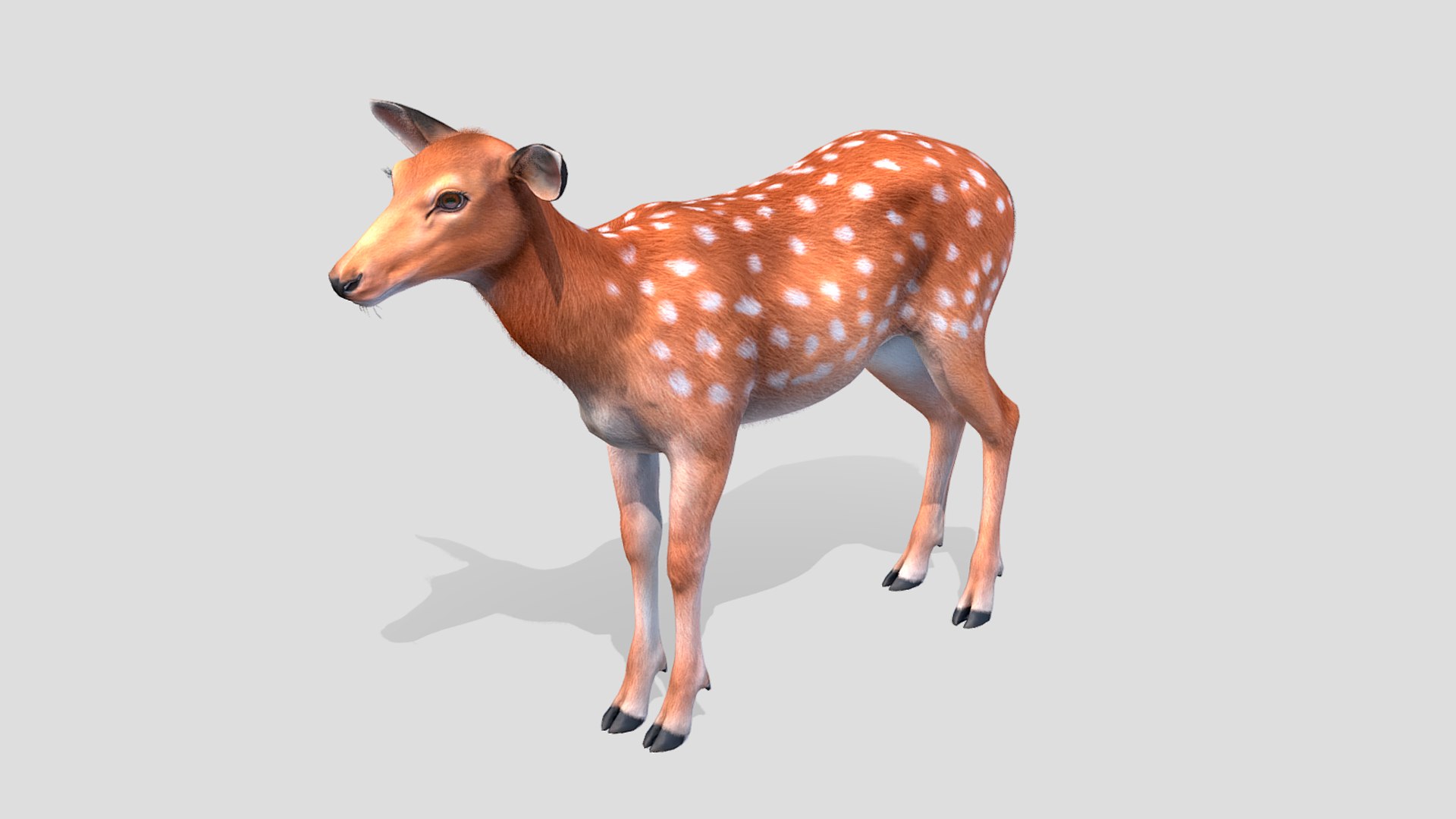 3D Deer - Doe - TurboSquid 2144549
