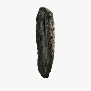 3D model Anydrafts Salix matsudana Burl 11