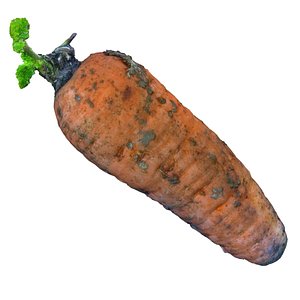 carrots plant vegetable food 3ds