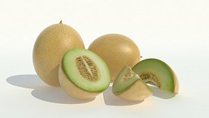 Realistic Melon Set