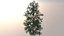 Pack of six realistic trees.