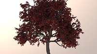 Pack of six realistic trees.