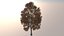 Pack of six realistic trees.