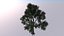 Pack of six realistic trees.